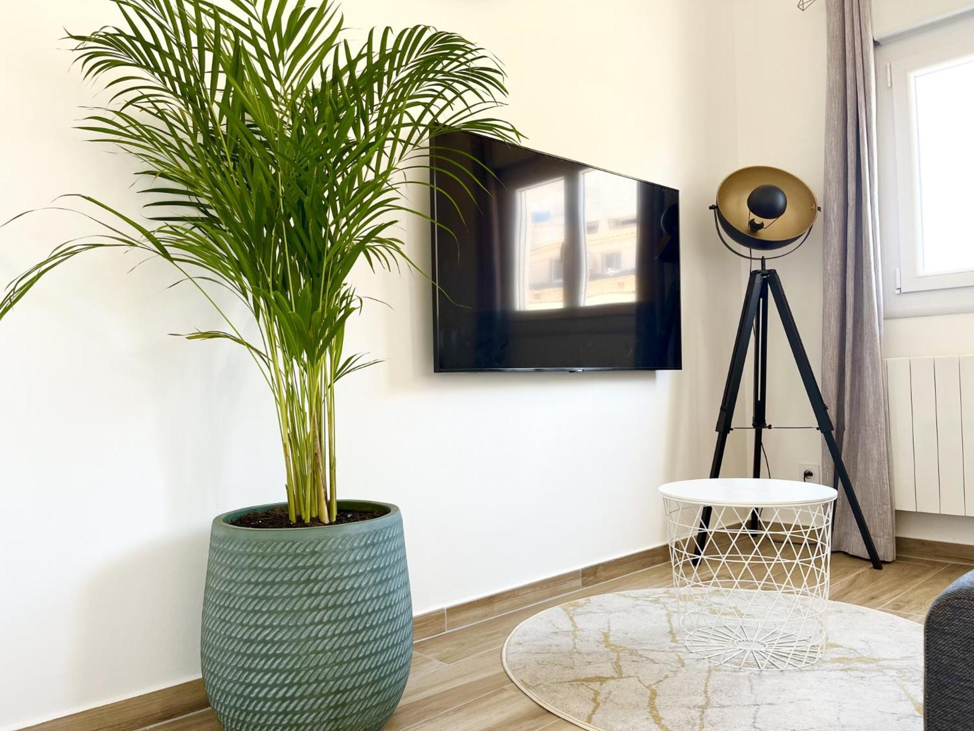 Duplex Centre Ville - 50M De La Plage - Clim - Garage - Netflix Le Grau-du-Roi Szoba fotó